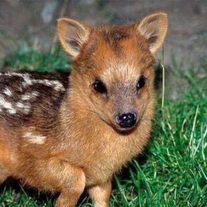 Meet your Posher, Mariah